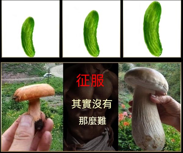 【限時199組銅板價】憲哥給大家發福利啦-台灣極品壯陽中藥-鼎新生醫50周年慶（底氣十足）-僅需一粒助你壯碩無比，兇猛异常，即刻生效、保你性福一生！ 一粒不硬全額退款！ 請記住你買的不是產品，是你一輩子的性福！ 愛人終身的高潮尖叫